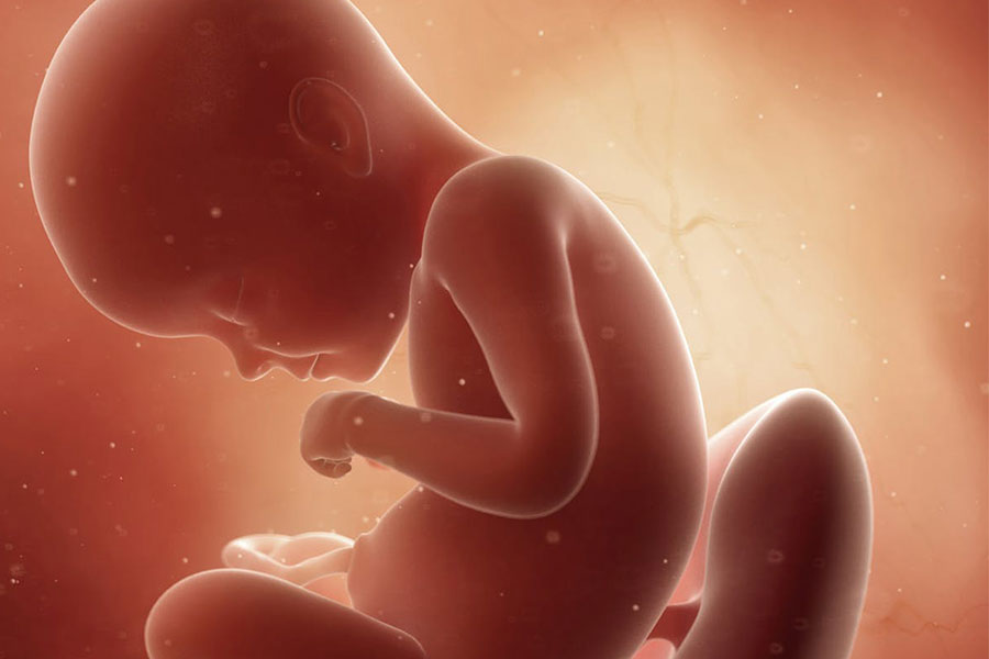 رشد جنین در سه‌ماهه سوم بارداری