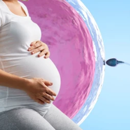علائم بارداری قبل پریود