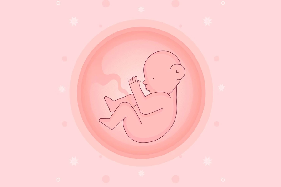 شروع آخرین دوره پریود و انتقال جنین