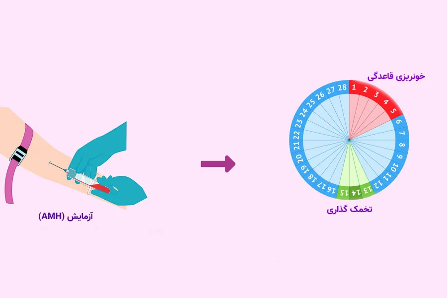 آزمایش AMH روز چندم پریود انجام می‌شود